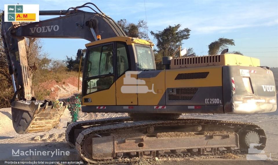 حفارة مجنزرة Volvo EC250DL